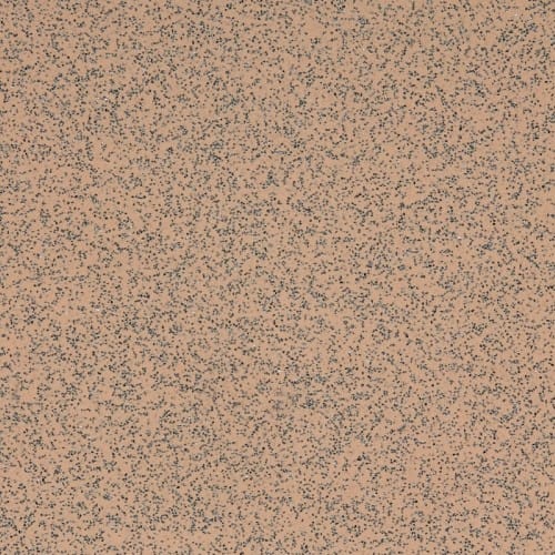 Altro Classic Safety Flooring<br />
Mushroom