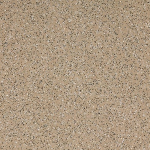 Altro Reliance Safety Flooring<br />
Biscuit