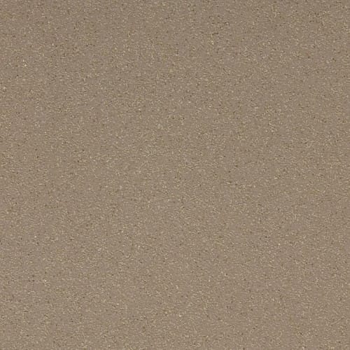 Altro Suprema Safety Flooring<br />
Taupe