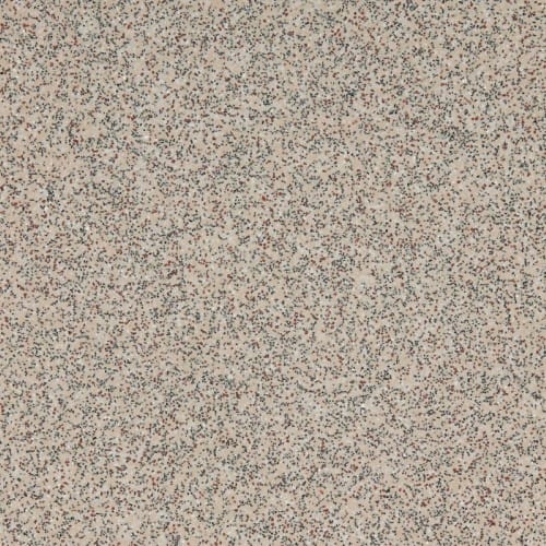 Altro Reliance Safety Flooring<br />
Bone