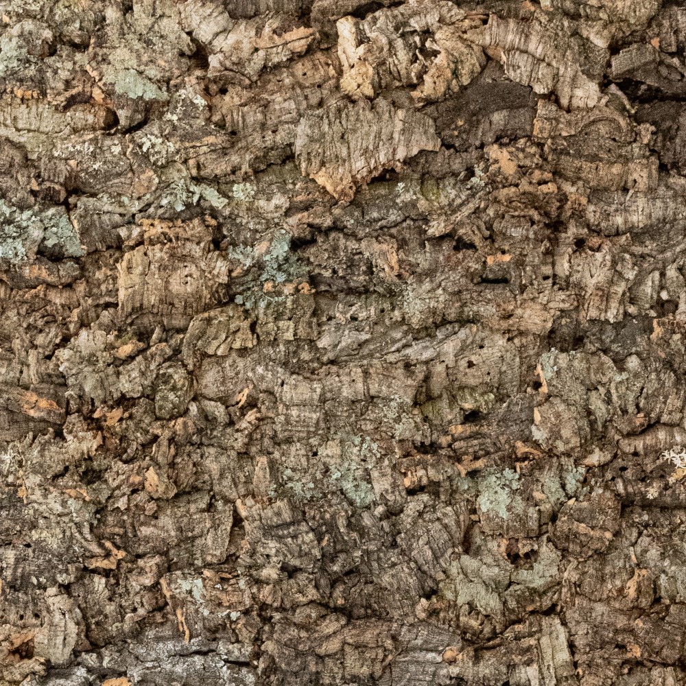 Natural Cork Bark Sheets
